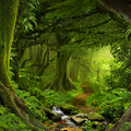 SELVA