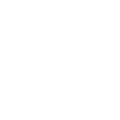 Partizan